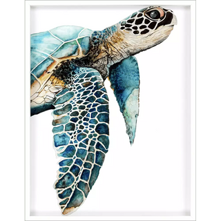 Great Sea Turtle
