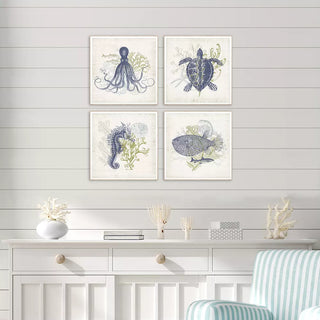 Coastal Ephemera   Set of 4
