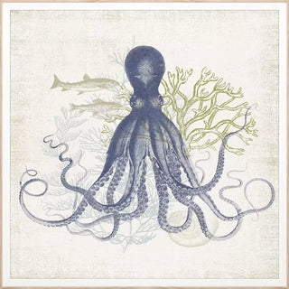 Coastal Ephemera   Set of 4
