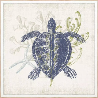 Coastal Ephemera   Set of 4
