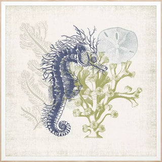 Coastal Ephemera   Set of 4
