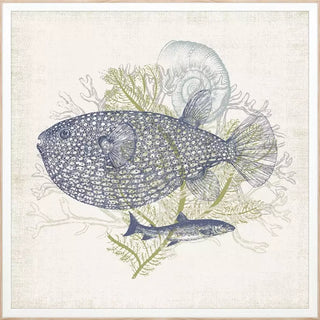 Coastal Ephemera   Set of 4
