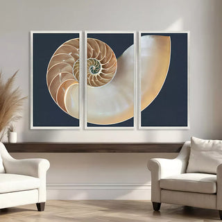 Nautilus Triptych   Set of 3
