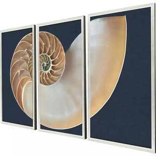 Nautilus Triptych   Set of 3
