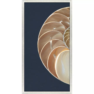 Nautilus Triptych   Set of 3
