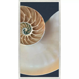 Nautilus Triptych   Set of 3

