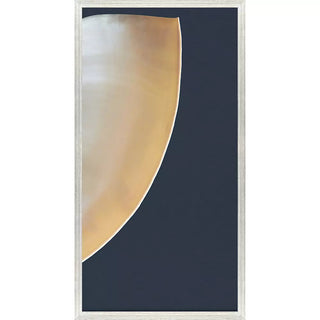 Nautilus Triptych   Set of 3
