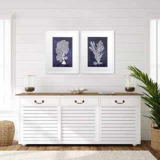 Set of 2   Sea Fan
