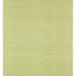 Finn Sprout Handwoven Indoor/Outdoor Rug 2x3