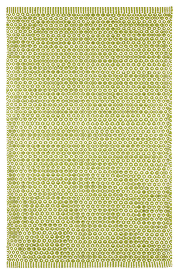 Finn Sprout Handwoven Indoor/Outdoor Rug 2x3