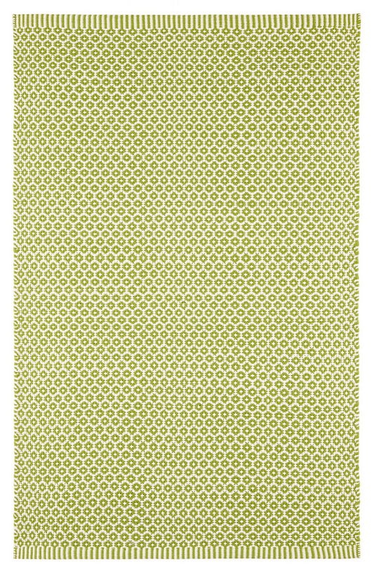 Finn Sprout Handwoven Indoor/Outdoor Rug 2x3