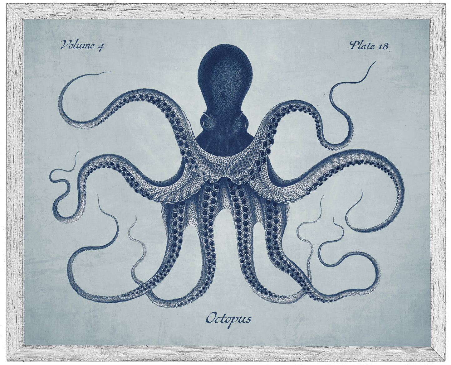 Navy Octopus on a Pale Blue Distressed Background