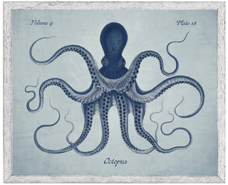 Navy Octopus on a Pale Blue Distressed Background
