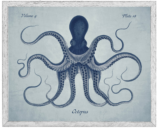 Navy Octopus on a Pale Blue Distressed Background