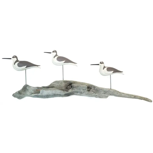 Stilts On Driftwood