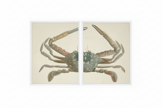 Vintage Bookplate of a Crucifix Crab Diptych
