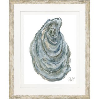 Oyster Shell 6
