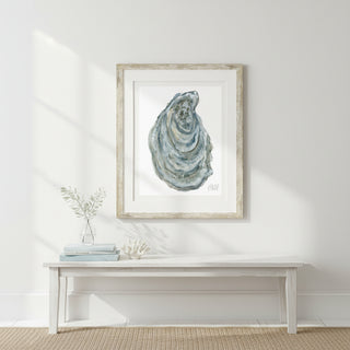 Oyster Shell 6
