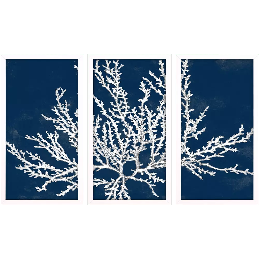 Coastal Coral Triptych