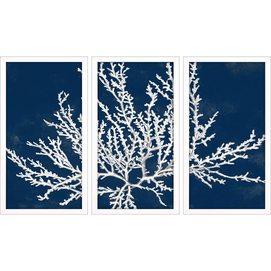 Coastal Coral Triptych