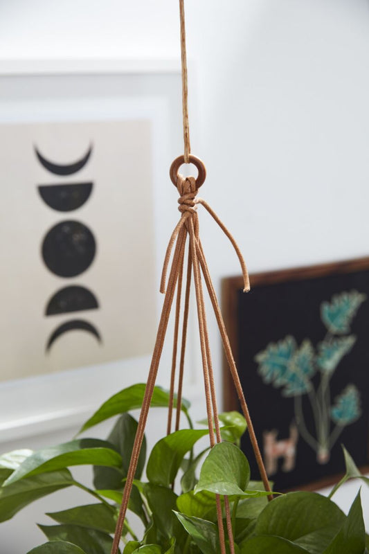 Redondo Hanging Pot - Online Only