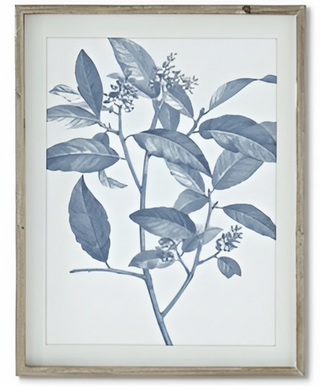 27.75 Inch Wood Framed Blue & White Botanical Print IV
