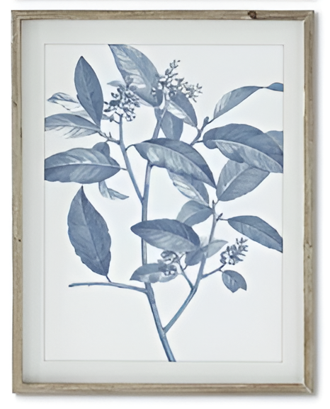 27.75 Inch Wood Framed Blue & White Botanical Print IV