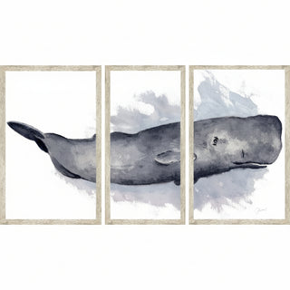 72" x 38"   Sperm Whale Triptych
