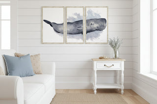 72" x 38"   Sperm Whale Triptych
