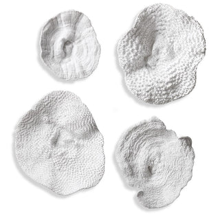 Sea Coral Wall Decor   Set of 4
