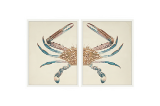 Vintage Bookplate of a Swimming Crab Diptych
