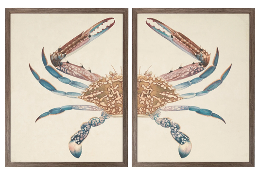 Vintage Bookplate of a Swimming Crab Diptych 44x28,11368 AC