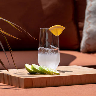 Sandpiper 15.5oz Cooler Highball | Set of 4   Online Only
