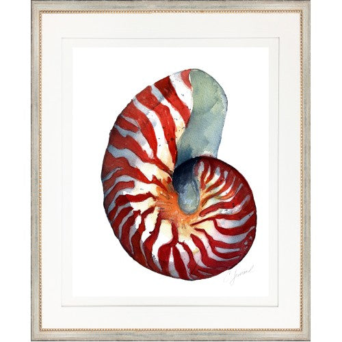 CL- SHELL 12 - 18" x 22" - 1" Silver Frame