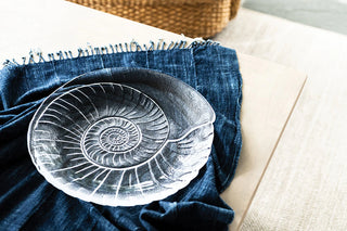 Shell Platter
