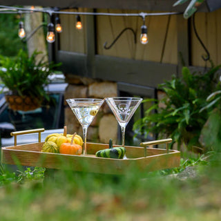 Skull and Crossbones 10oz Martini Cocktail Glass | Set of 4   Online Only
