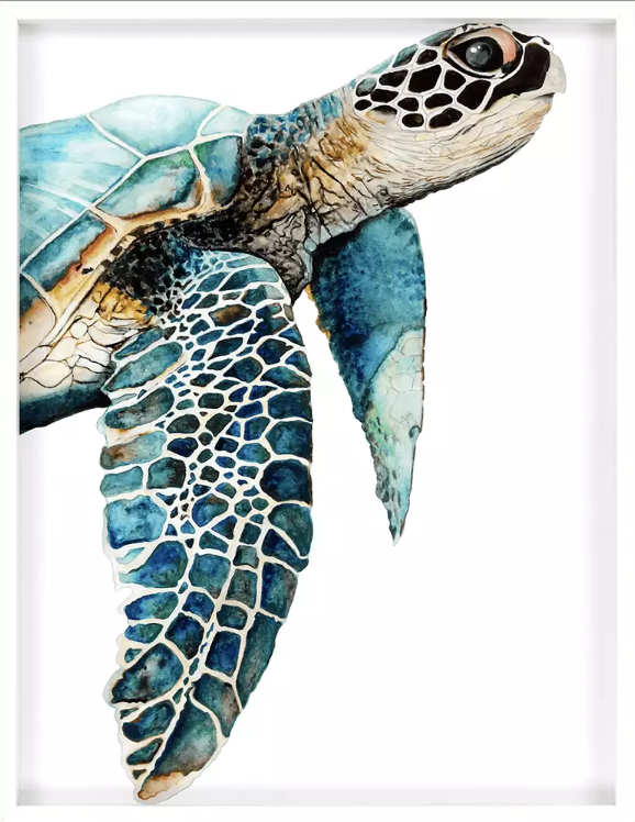 Great Sea Turtle