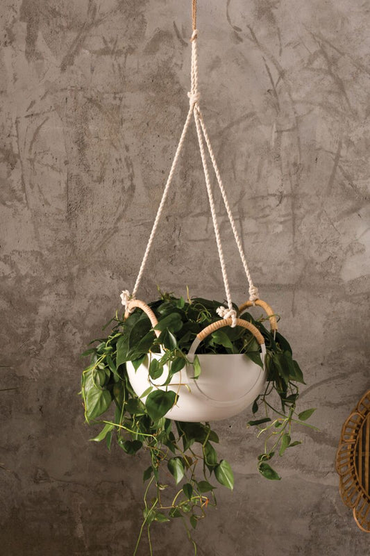 Sym Hanging Bowl - Online Only