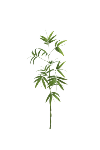 Bamboo Spray 43" Green
