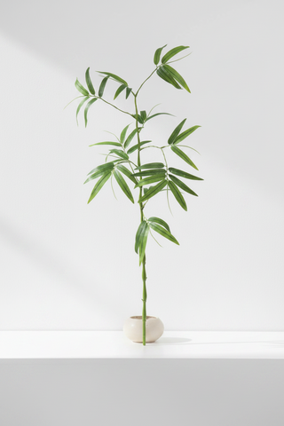Bamboo Spray 43" Green

