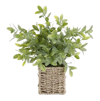 12 Inch Herbs in Square Woven Basket III