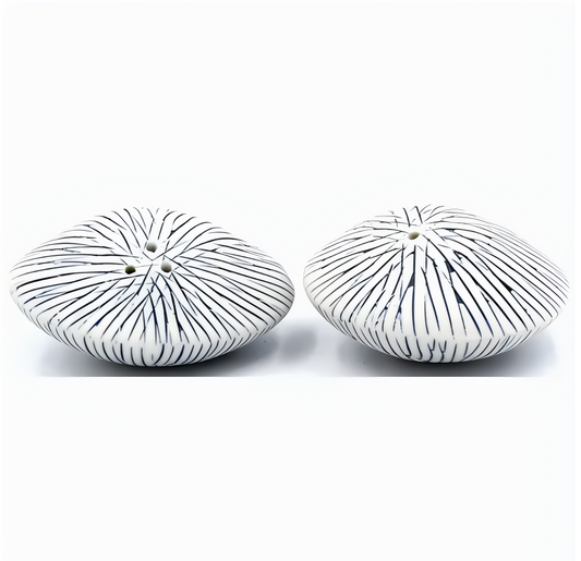 Sea Shell Salt and Pepper Shaker - Wo 27