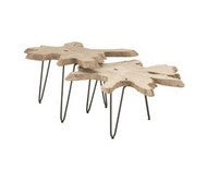 Drift Nesting Coffee Table (Set of 2)