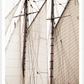 Sailing Details I