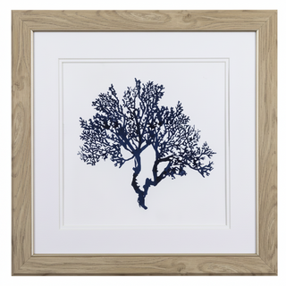 Indigo Coral B I
