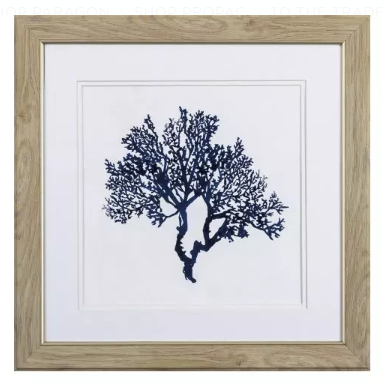 Indigo Coral B I