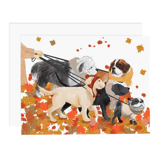 Fall Dog Walk