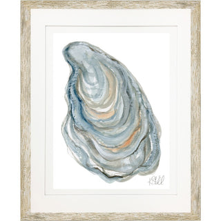 Oyster Shell 9
