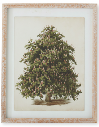 19.75 Natural Carved Wood Framed Pine Tree Print III
