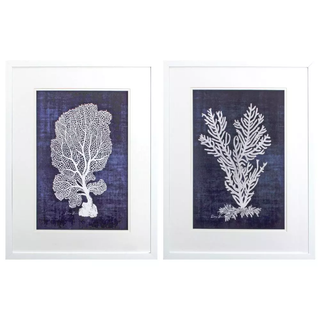 Set of 2   Sea Fan
